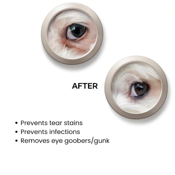 Pupwell Grooming Comb Birch Wood Stainless Steel Teeth Pet-6