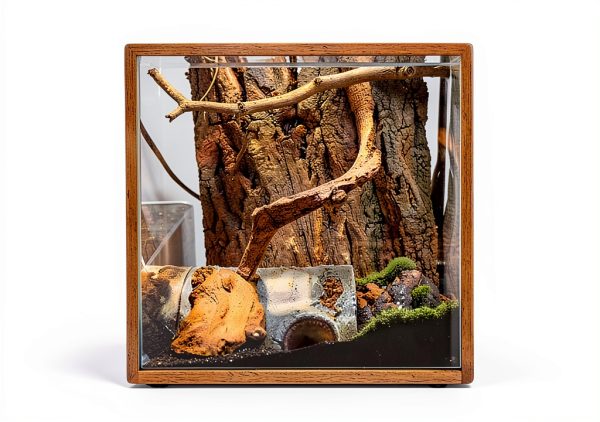 RHBLME Cork Bark Reptile Background Natural Safe Habitat-3