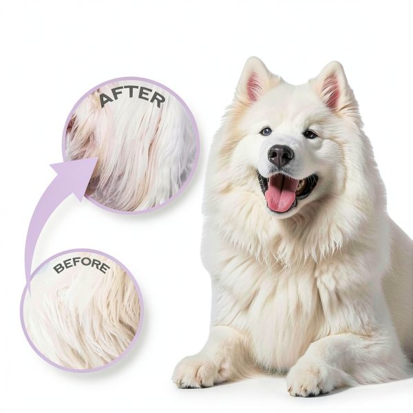 Puiuisoul Pet Detangling Brush Stainless Steel Teeth-3