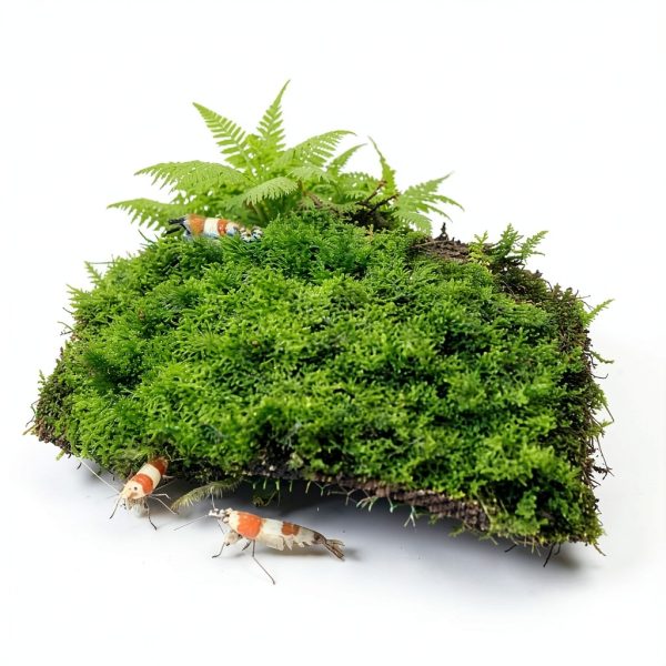 Luffy Mesh Wall Aquarium Decor Plastic Net Fish Tank Plants-3