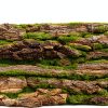 PINVNBY Reptile Cork Bark Background Natural Terrarium Decor-3