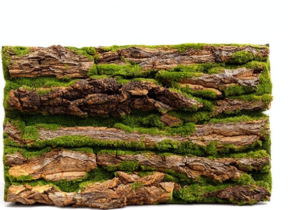 PINVNBY Reptile Cork Bark Background Natural Terrarium Decor-3