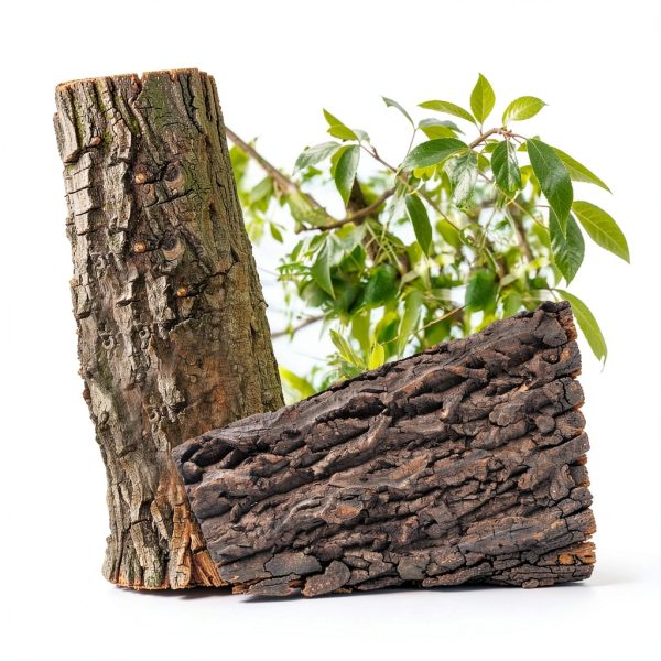 MUYG Reptile Tank Wood Background Natural Cork Bark Climbing-5