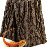MUYG Reptile Tank Wood Background Natural Cork Bark Climbing-0
