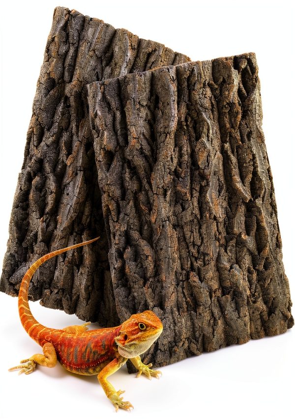 MUYG Reptile Tank Wood Background Natural Cork Bark Climbing-0