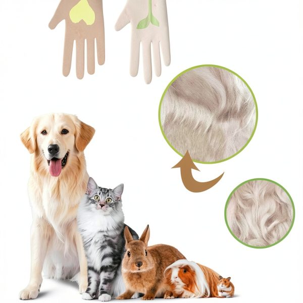 Generic Product Affordable Essential Item for Everyday Use-6