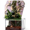 PINVNBY Reptile Cork Bark Background Natural Terrarium Decor-6