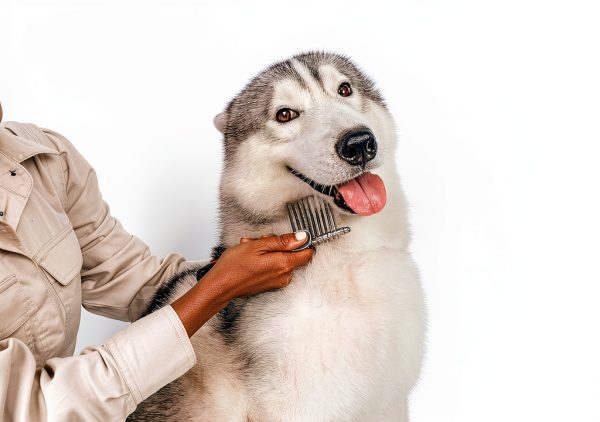 Tuff Pupper Pet Detangler Brush Safe Knot Remover Grooming-5